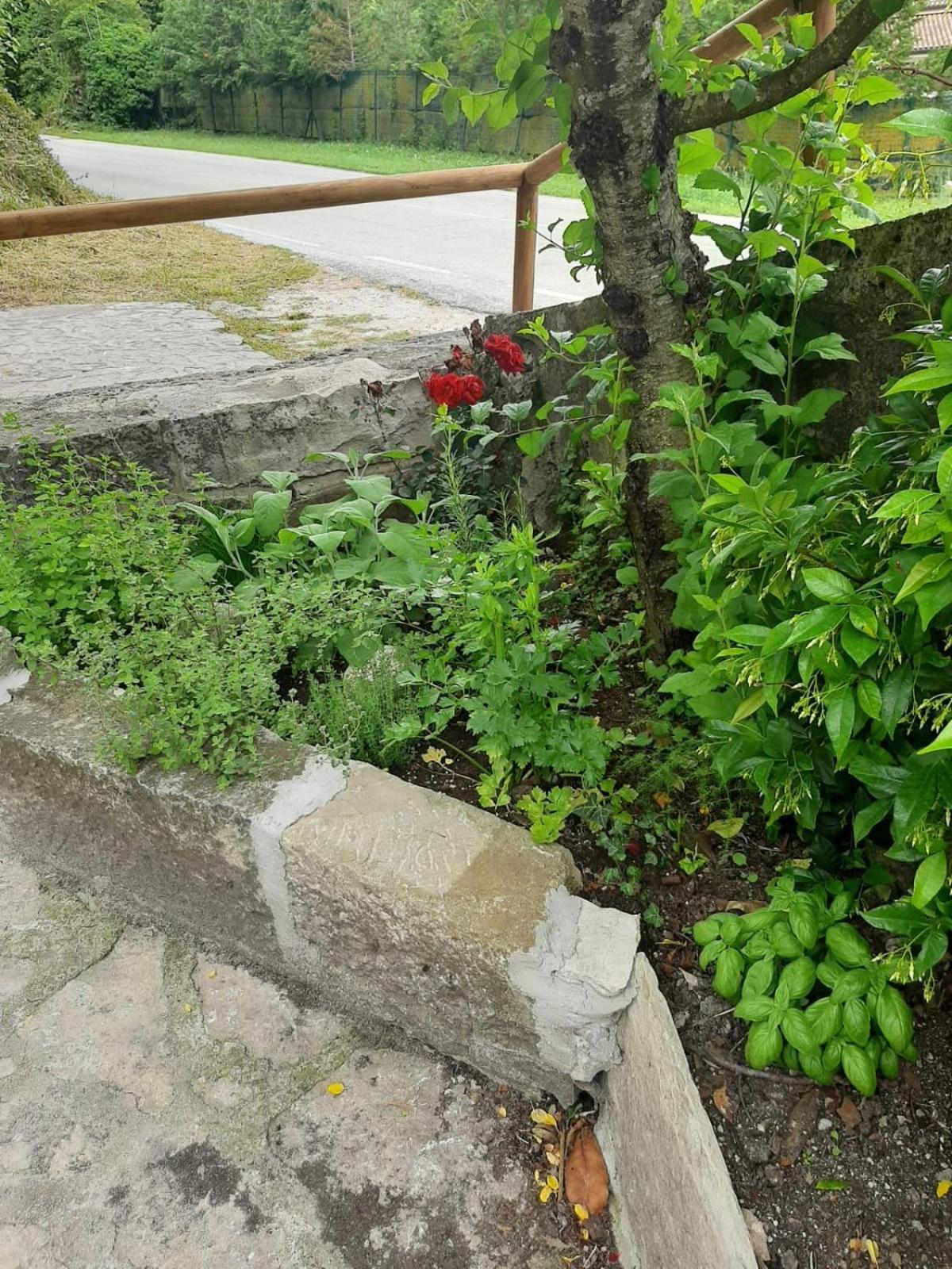 Il Caminetto Leilighet Carpinone Eksteriør bilde